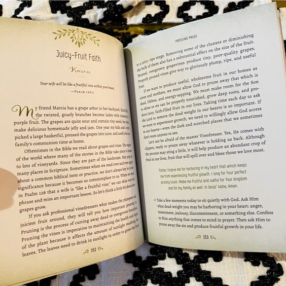 Pressing Pause 100 Quiet Moments for Moms Meet Jesus Bible Study Ehman Schwenk - Picture 3 of 6